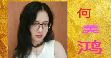 何美鸿:古城巷口的纹面老妪