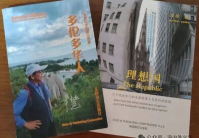 从岩波《多伦多华人》《理想国》看北美华人结构的复杂性